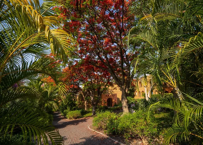 Mision Del Sol Resort & Spa Adults Only